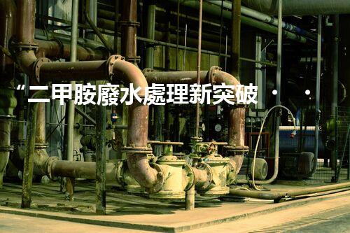 “二甲胺廢水處理新突破，綠色環(huán)保技術(shù)引領(lǐng)以后”